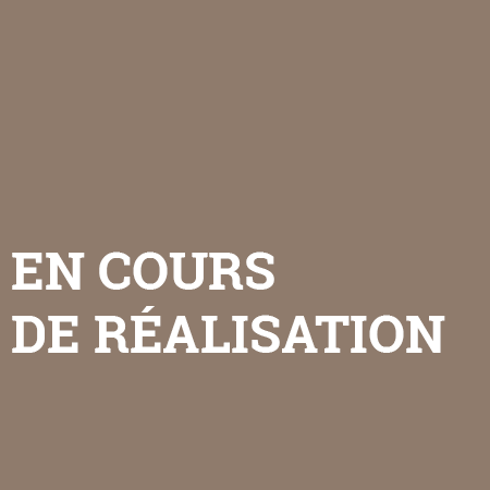Projet en cours